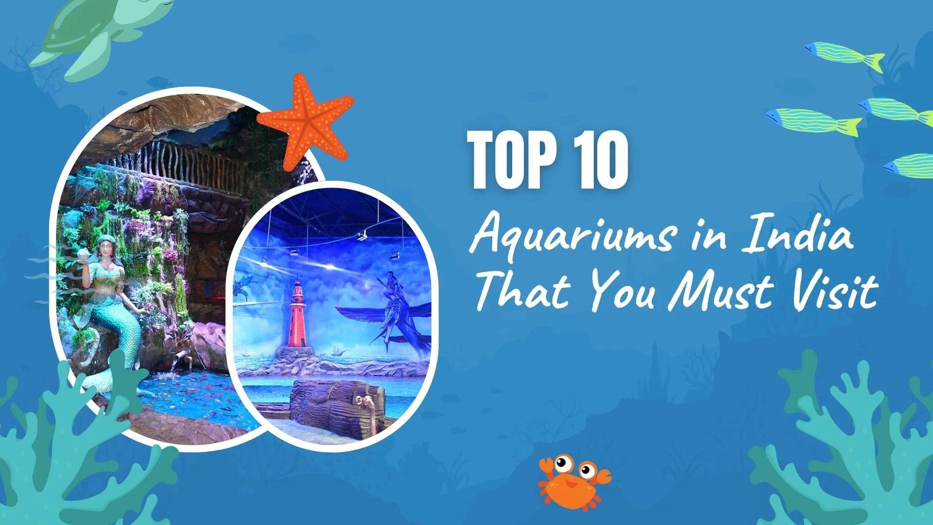Top 10 Aquariums in India That You Must Visit in 2026